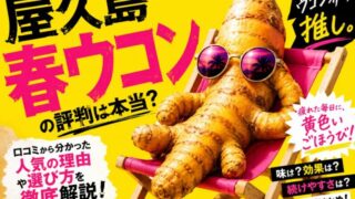 屋久島春ウコンの効能や評判は本当？口コミから分かった人気の理由や選び方を徹底解説