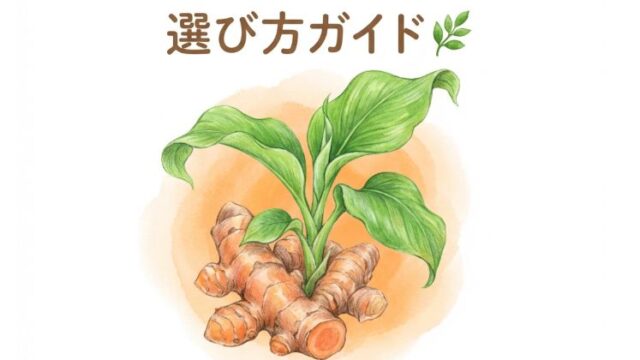 屋久島 春ウコンの選び方ガイド｜粉末・粒・有機JASまで種類別に徹底比較