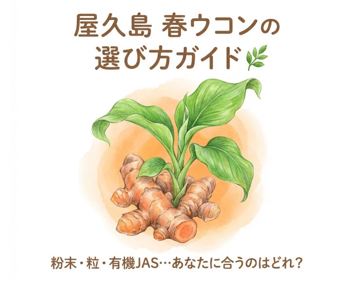 屋久島 春ウコンの選び方ガイド｜粉末・粒・有機JASまで種類別に徹底比較