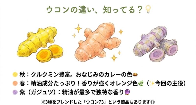 春・秋・紫ウコンの違いをざっくり整理