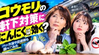 コウモリの軒下対策ににんにくは効く？ハッカ油や忌避剤も調べてみた